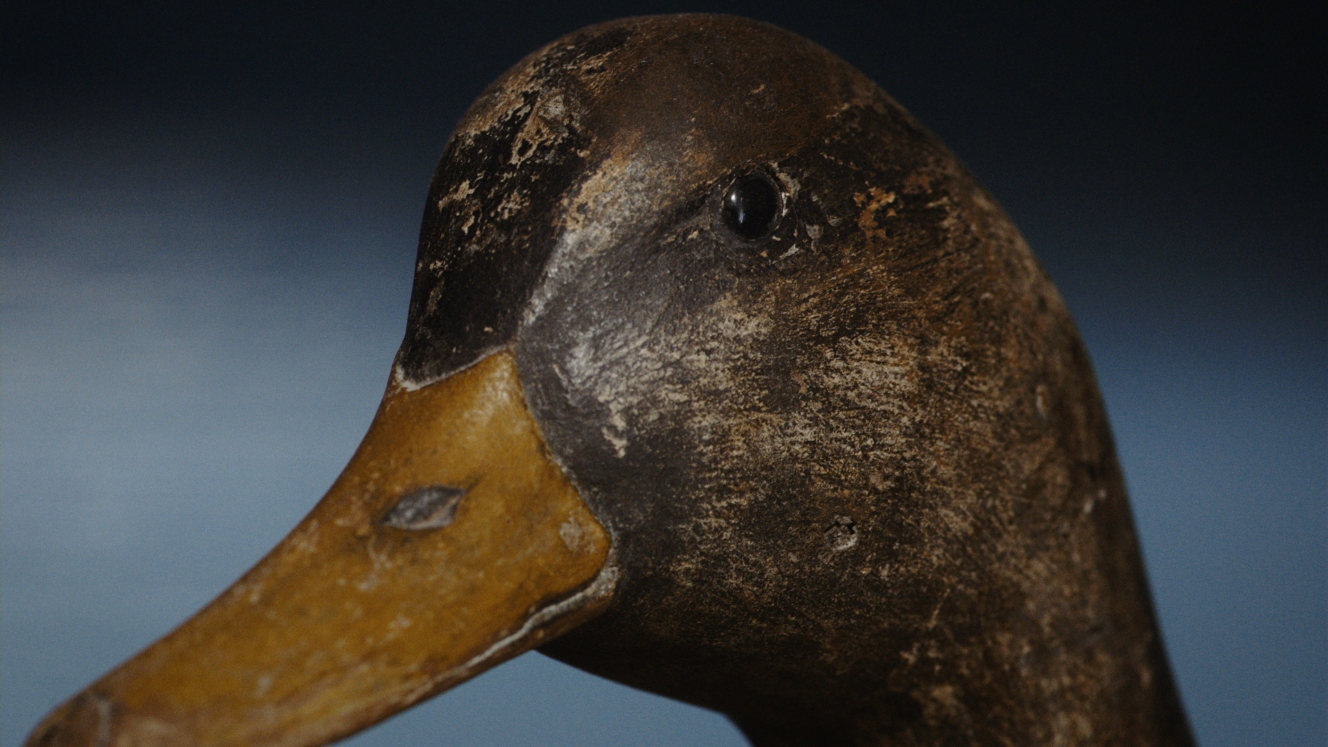Dick's Decoys